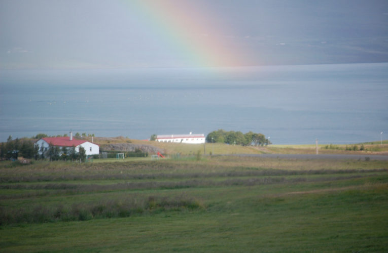 Newport: Is he really my true Valentine? Love and PTSD.