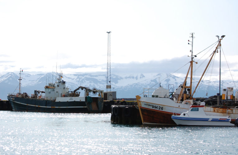 Newport: Woman/wife/mother: PTSD + suicidal thoughts