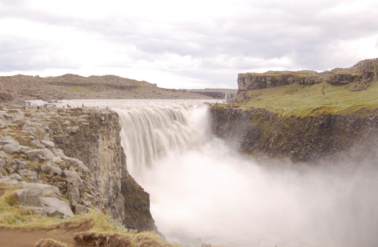 Newport: Help! I’m a lost little amoeba in this big PTSD ecosystem