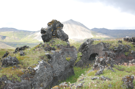 Newport: Complications arise with a new job. Fear of oversharing when you are a PTSD survivor.